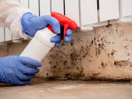 Best Comprehensive Air Testing for Mold Contaminants  in Olyphant, PA